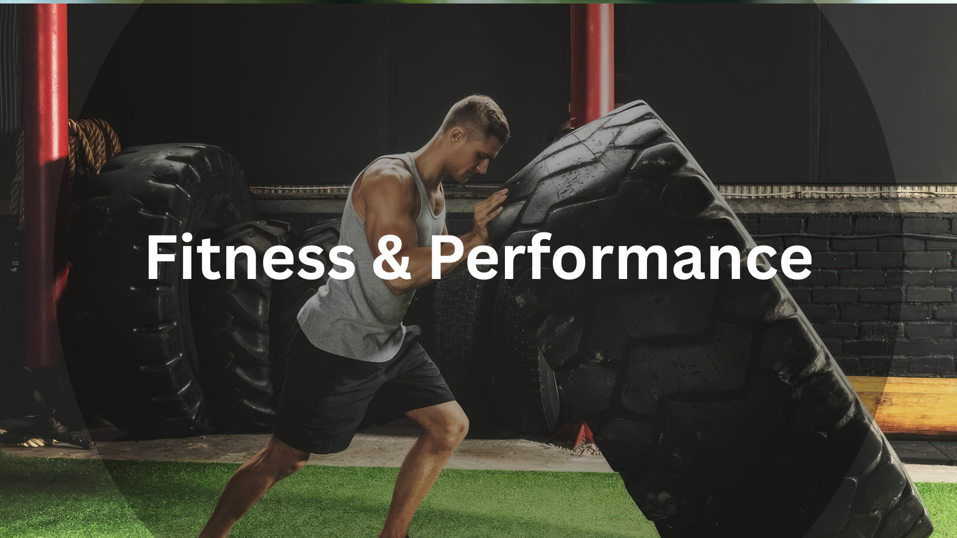 Fitness and performance businesses
